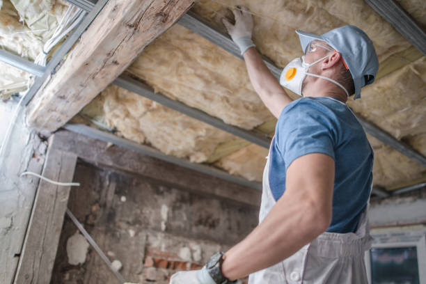 Best Insulation Installation Services in Addison, IL